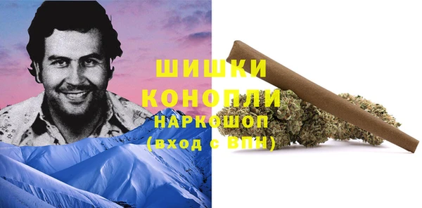 PSILOCYBIN Киреевск