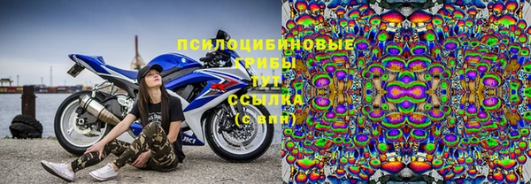 трава Киренск