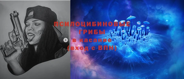 PSILOCYBIN Киреевск