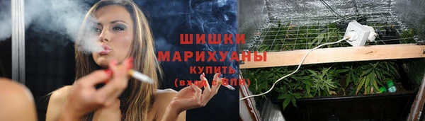 PSILOCYBIN Киреевск